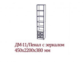 ДМ-11 Пенал с зеркалом в Кушве - kushva.magazin-mebel74.ru | фото
