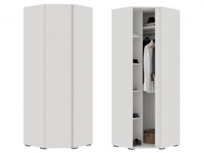 ШК 04 Шкаф угловой в Кушве - kushva.magazin-mebel74.ru | фото