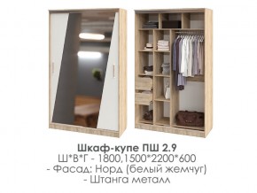 шкаф-купе ПШ-2.9 1500 Норд Белый жемчуг 1500 в Кушве - kushva.magazin-mebel74.ru | фото