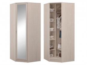 Шкаф угловой  с зеркалом в Кушве - kushva.magazin-mebel74.ru | фото